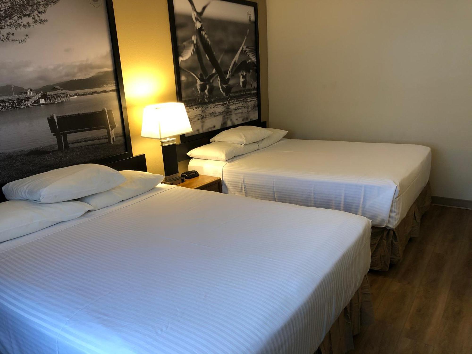 Hotel Super 8 By Wyndham Salmon Arm Zewnętrze zdjęcie